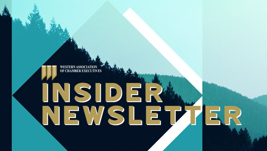 Shadow of mountains with words Insider newsletter and W.A.C.E. logo